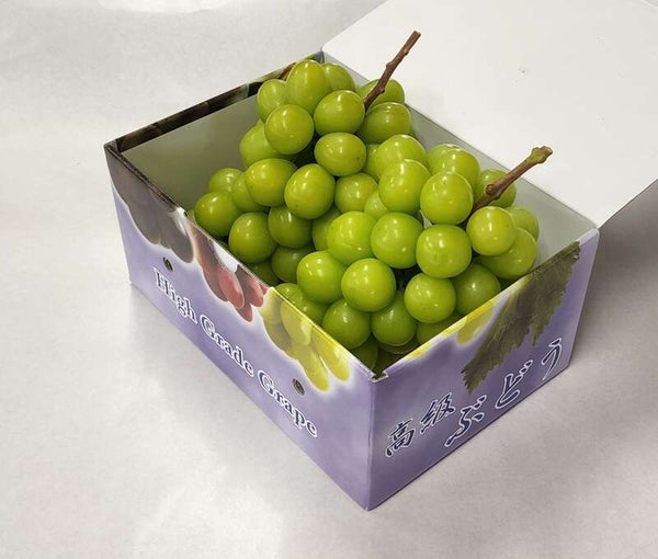 【神奈川県内・町田発】 化粧箱入り2房1キロ付!甲州シャインマスカット狩り園内食べ放題1